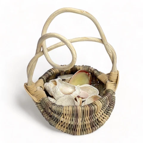 Woven Wicker Basket Driftwood Tortured Handle Filled Loose Seashells Coastal Cover