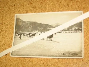 Foto Pferdeschlittenrennen auf dem Tegernsee um 1940 Photo Rupflin ORIGINAL - Picture 1 of 2