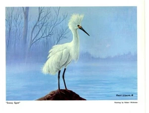 DUCKS UNLIMITED Print "Snowy Egret" Canadian Mallard Pintail DU Whitetails - Bild 1 von 1