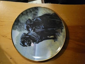 Nigel Hemming Sporting Companions Limited Edition Porcelain Black Labs Plate - Picture 1 of 2