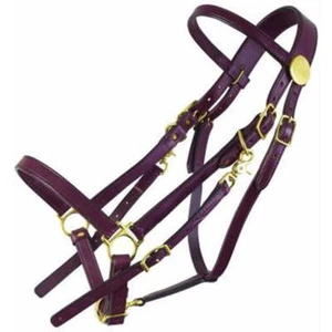 0325 Tucker Clásico Estándar Halter Brida - Caballo Grande NUEVO - Imagen 1 de 1