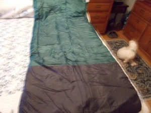 Ozark Trail  40F Cool Weather Sleeping Bag Green 75x33 in - Headrest, Warmfoot - Picture 1 of 11