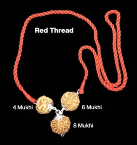 Rudraksha Combination for Creativity 4,6,8 Mukhi Nepal Silver Pendant Certified - Picture 1 of 3