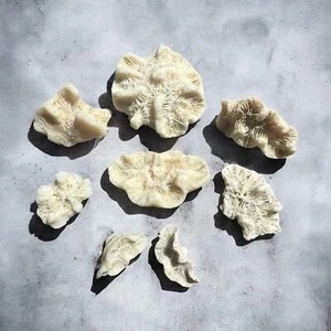 8 Pieces Coral Rock Set Vintage Ocean Stone Saltwater Fish Tank Aquarium Decor - Picture 1 of 3