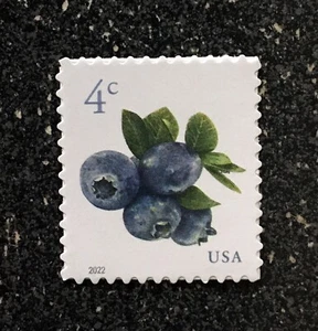 2022USA #5652 4c Blueberries - Sheet Single  Mint NH  blueberry fruit - Picture 1 of 1