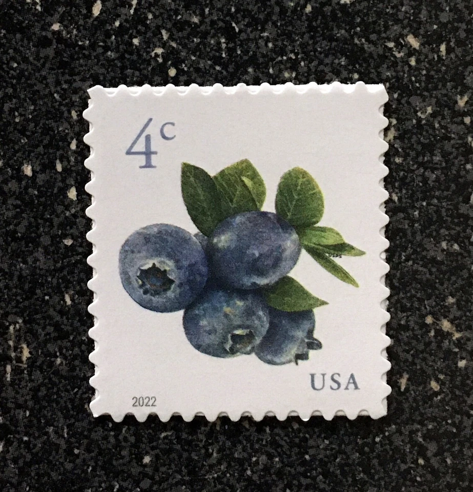 2022USA #5652 4c Blueberries - Sheet Single  Mint NH  blueberry fruit - Image 1 of 1