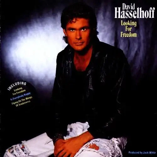 David Hasselhoff - Looking For Freedom - Bild 1 von 1