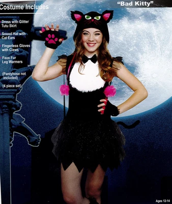 DISFRAZ HALLOWEEN DREAMGIRL BAD KITTY NIÑAS NIÑO TALLA X-GRANDE 12-14 Foto 1 de 2