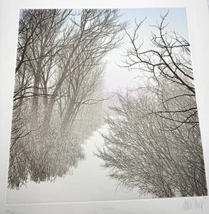 Foot Path FRANKLIN GALAMBOS Signed Numbered Etching Limited Edition 22" x 17.5" - Picture 1 of 13