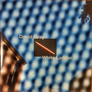 DAVID GRAY WHITE LADDER REMASTERED BLACK VINYL 2LP GATEFOLD SEALED 20th ANN - Picture 1 of 2