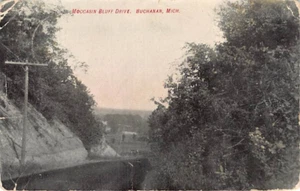 Cartolina MI: Mocassino Bluff Drive, Buchanan, Michigan pubblicata 1909 - Foto 1 di 2