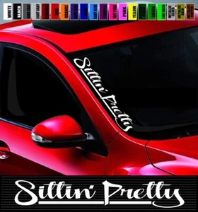 20" Sittin' Pretty Lowered Stance JDM Car Decal Sticker Side Windshield Banner - Picture 1 of 1