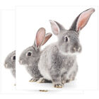  2 Sheets Wandtattoo Dekor Kinderzimmer Aufkleber Kaninchen DIY Tier Haushalt