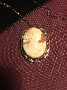 Vintage Shell Cameo Pin Pendant 14K White Gold - Picture 1 of 8