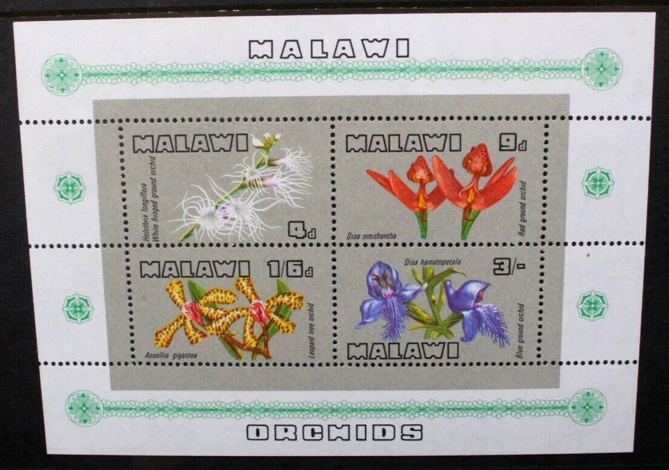 MALAWI 1969 Flora Flowers: Orchids. SOUVENIR SHEET. Mint Never Hinged. SGMS333. - Image 1 of 1