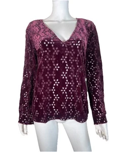 Johnny Was JADE Women’s Sz S Eyelet Long Sleeve Blouse Top Velvet Silk Rayon - Picture 1 of 10