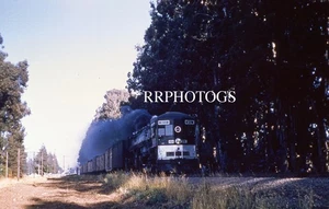 RAILROAD SLIDE SOUTHERN PACIFIC SP ACTION 4-8-8-2 AC-10 DAMPFLOK #4206  - Bild 1 von 1