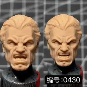 1/6 1/12 1/18 Head Model Sanctioner Frank Castell Fit 12 "6" 3,75 " Figurenkörper - Bild 1 von 5