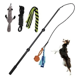 Flirt Pole for Dogs,Collapsible Extendable Dog 3-Section Retractable Dog Teaser - Picture 1 of 7