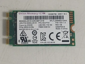 Union Memory AM611 RPJTJ256MED10WX 256GB M.2 42mm Solid State Drive - Bild 1 von 6