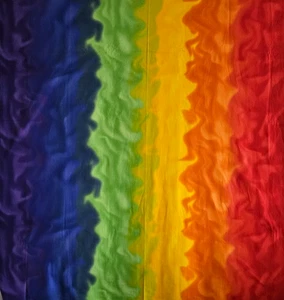 Rainbow Hombre Fabric by Michele Scott Lyndhurst Studio 44 X 54 Inches Cotton - Picture 1 of 2