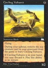 MTG magic cards 4x x4 Light Play, English Circling Vultures Weatherlight