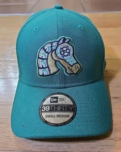 Charlotte Knights New Era MiLB Sombrero Copa Caballeros 39Thirty S/M Gorra Verde Nuevo con Etiquetas - Imagen 1 de 10