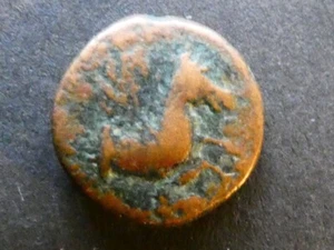 T29.4. Roman Provincial, Tiberius, Mysia, Lampsacus, AE15. - Picture 1 of 2