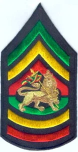 Parches bordados al hombro RASTA Lion in (GYR) 2,5"x4,75" planchados - Imagen 1 de 1