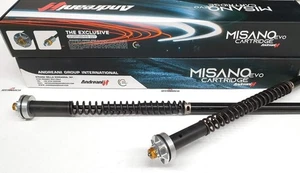 HYDRAULIC CARTRIDGE FORK ANDREANI X MARZOCCHI 43 DUCATI MONSTER 1100 EVO 2011-13 - Picture 1 of 3