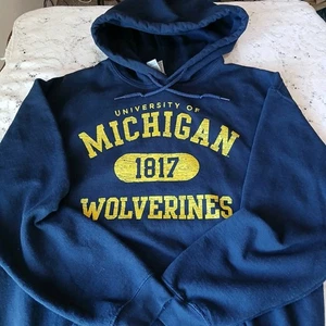 Michigan Wolverines Navy Blue Pullover Hoodie Sweatshirt Mens Medium Gildan - Picture 1 of 19