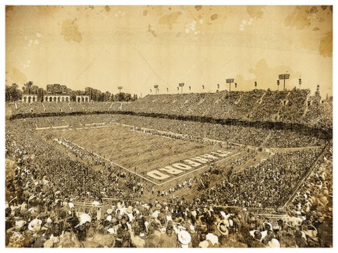 Stanford Cardinal Poster Print Sketch Wall Art Man Cave Decor 12x16" Cover