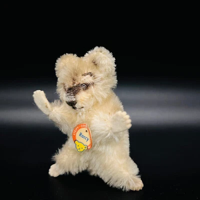 STEIFF Waschbär RACCY | 4310,00 | Brustschild | Jahr 1960 | 10 cm | Sehr gut - Bild 1 von 4