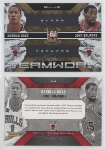 2009-10 Donruss Elite Teamwork Combos Gold /100 Derrick Rose John Salmons #4