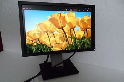 Dell Professional 1909Wb 19" LCD Monitor w/4-Port USB Hub VGA DVI 1909Wf Y320G  - Image 1 of 4