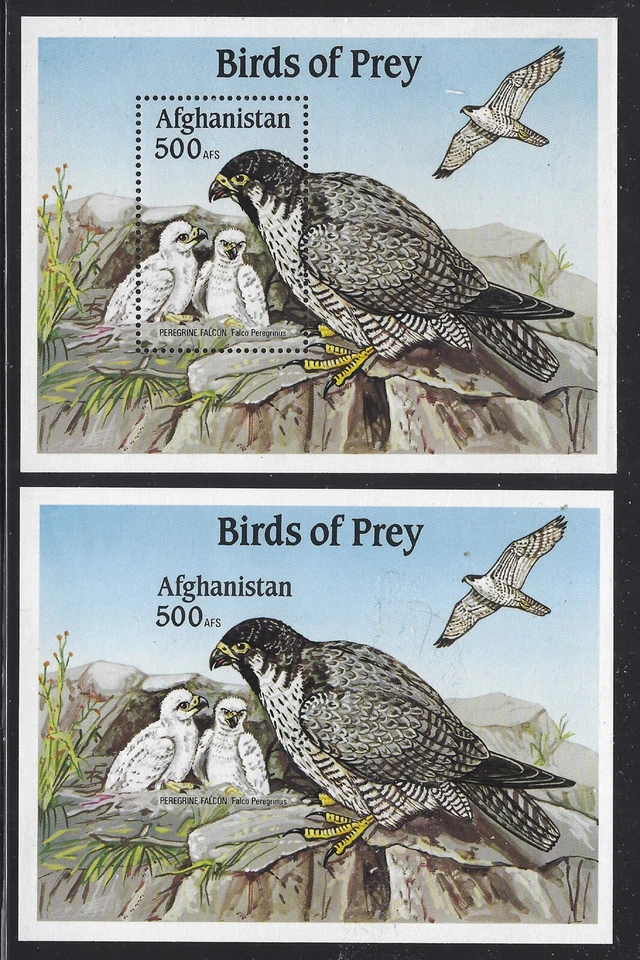Afghanistan 2000 Perf & Imperf Peregrine Falcon S/S NH - Image 1 of 1
