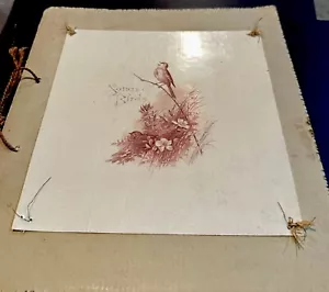 RARO 1886 Canciones de pájaros con dibujos de pájaros Susie B. Skelding y puentes Fedelia. - Imagen 1 de 4