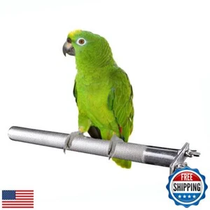 Bird Perch Stainless Steel Stand Parrot Rod Grinding Claws Trimming Beak Nail - Picture 1 of 5