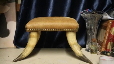 Reposapiés artesanal de cuerno de vaca de novillo occidental americano cambio de siglo Foto 1 de 4