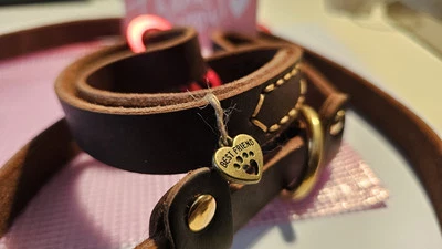 DogMa-TV Trainings-Leine Hundeleine 🐶 Leder, Retrieverleine inkl. Karabiner NEU - Bild 1 von 4