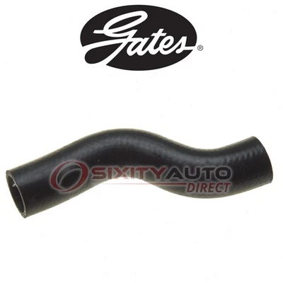 Gates Upper Radiator Coolant Hose for 2001-2003 Infiniti QX4 3.5L V6 - to Foto 1 de 4