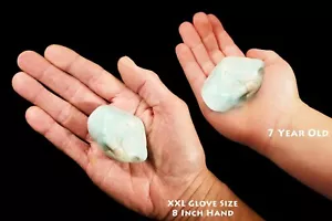 AMAZONITE Tumbled 2 1/2" Polished Rock Mineral Specimen Crystal Chakra Stone - Picture 1 of 3