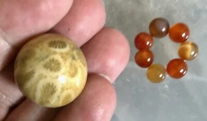 Fossilized Coral Mini Sphere Ball on Crystal Carnelian Beaded Stand New! - Picture 1 of 4