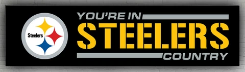 Pittsburgh Steelers You're in Steelers Country Banner 60x240cm 2x8ft Best Flag Cover