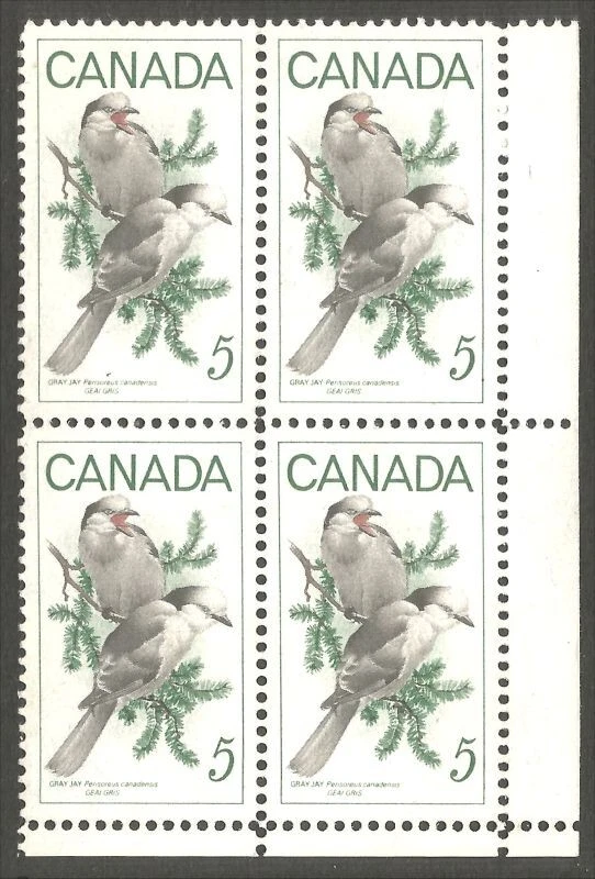 bsc147  Canada 478 Wildlife Gray Jays lower right blank plate block MNH ** - Image 1 of 1