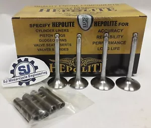 BSA A65 VALVE AND GUIDE SET 1966-1969 68-0159 68-0665 68-0663 HEPOLITE NEW - Picture 1 of 1