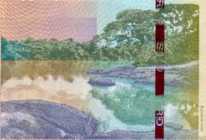 Suriname 10 dollars 2019 P-163 P-163c UNC B081 - Picture 1 of 7