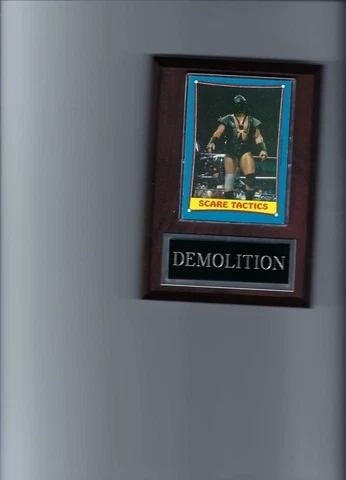 DEMOLITION PLAQUE WRESTLING WWF   C Cover
