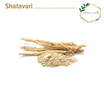 CURES BY NATURE Pure Organic Shatavari Root Powder - Asparagus Racemosus Root Powder