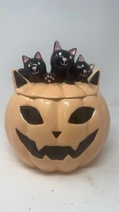 Cobwebs & Cauldrons Peach Pink Halloween Cat Pumpkin 3 Black Kittens - Picture 1 of 8